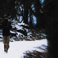 pilothead - distant