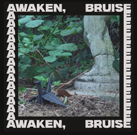 Oye - Awaken, Bruise