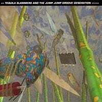 Various Artists - Tequila Slammers And The Jump Jump Groove Generation