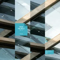 Various Artists - From the Vault PT​.​V