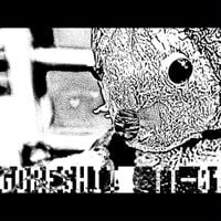 goreshit - TT-01