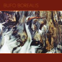 Bufo Borealis - Natureza