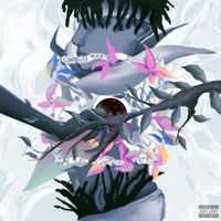 Zaybeezy - prettier than pictures