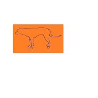 funny doggie - funny doggie