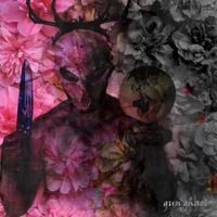 Gun Ghaol - Tog Dealbh