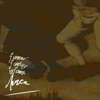 Funeral Fantasy - There Was a Horse in the Field