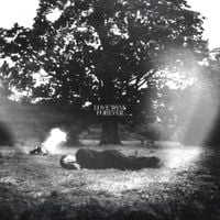 Man-Made Sunshine - LOVE WINS FOREVER