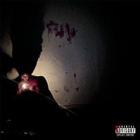 vervain - VAMPIRE DIARY