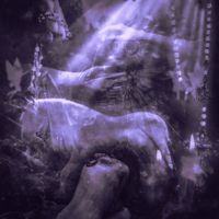 Forest - Intravenous French Kiss
