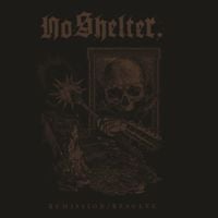 NO SHELTER - Remission/Resolve