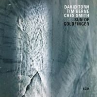 David Torn, Tim Berne & Ches Smith - Sun of Goldfinger