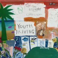 Feeldog - Youth driving
