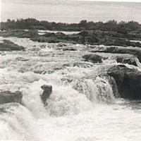 Tyno Beatz - WATERFALL