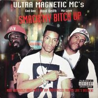 Ultramagnetic MCs - Smack My Bitch Up