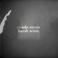 Cicada Sirens - Harsh Wires