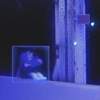 Carter James - Put Me in a Box