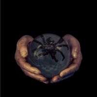 Buck Gooter - The Spider's Eyes