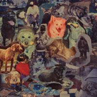 The Dogs On Shepard  Street - LIE WITH WOLVES