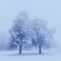 Joshua Kyan Aalampour - Winter Solace II
