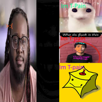 Bimbus - Im T-pain