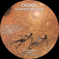 Cignol - Guidance Release