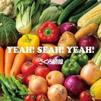 さくら前線 (Sakura Zensen) - YEAH! SEAH! YEAH!
