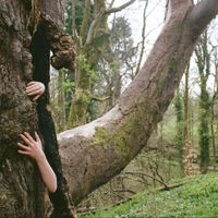 Lacuna - Overgrown