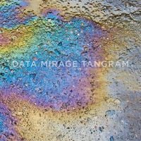 The Young Gods - DATA MIRAGE TANGRAM