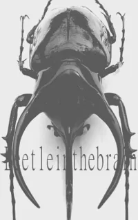 Beetleinthebrain - Beetleinthebrain