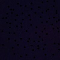 _____808 - That Little Gray Feeling In The Bathroom (cry)