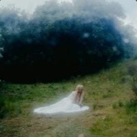 Wisp - Serpentine