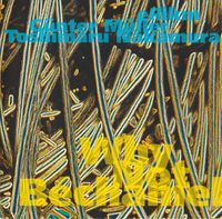 Toshimaru Nakamura - Why Not B&eacute;chamel