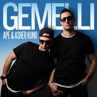 Ape - Gemelli
