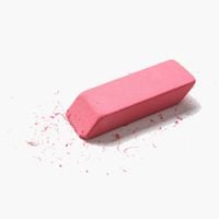 Vanessa Rossetto - Erased de Kooning
