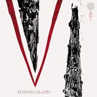Desnudos En Coma - Split
