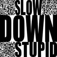 Bogdan Raczynski - Slow Down Stupid