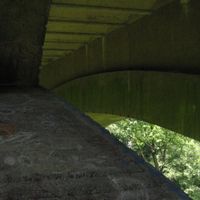 Julia Finegan - screendoor