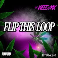 Riko310 - Hi Hat Loop 160Bpm