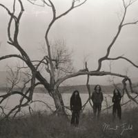 Mint Field - Mientras Esperas