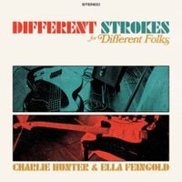 Charlie Hunter & Ella Feingold - Different Strokes for Different Folks