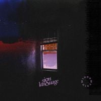 Sign Language - Window Pain