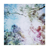 Kancre - Kangaroo Creek