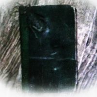 Pittkiid - Dear Diary