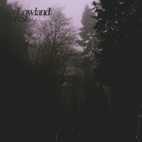 Hello Meteor - The Lowland Forest