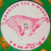 Ter&harr;Mo - Tempo