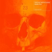 Mark Fell - Psychic Resynthesis