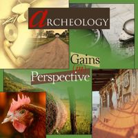 Archeology - Gains in Perspective