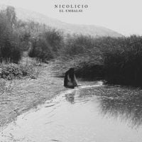 Nicolicio - El Embalse