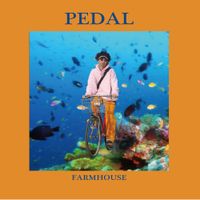FARMHOUSE - PEDAL