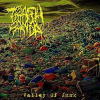 Trash Panda - Valley of Junk